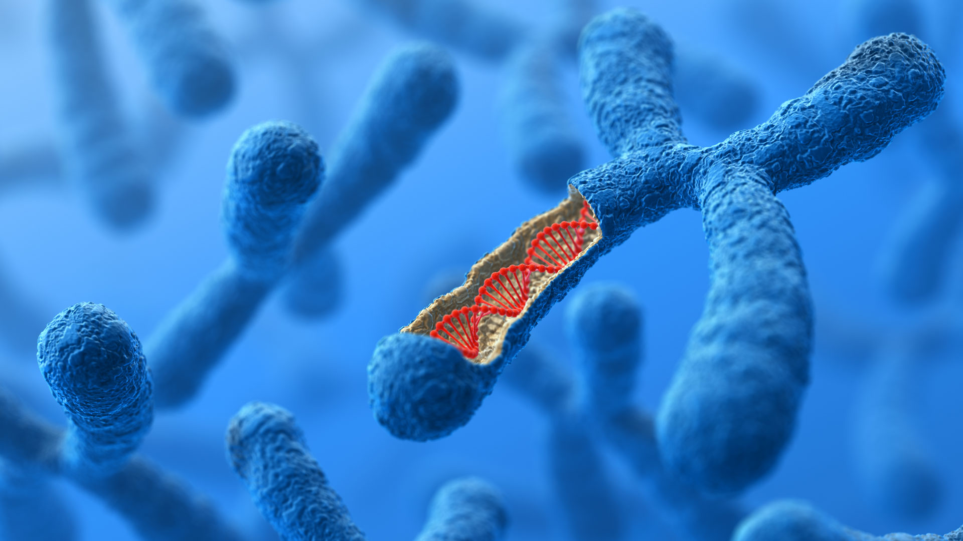 Análisis genético molecular mediante secuencias de ADN y datos bioinformáticos