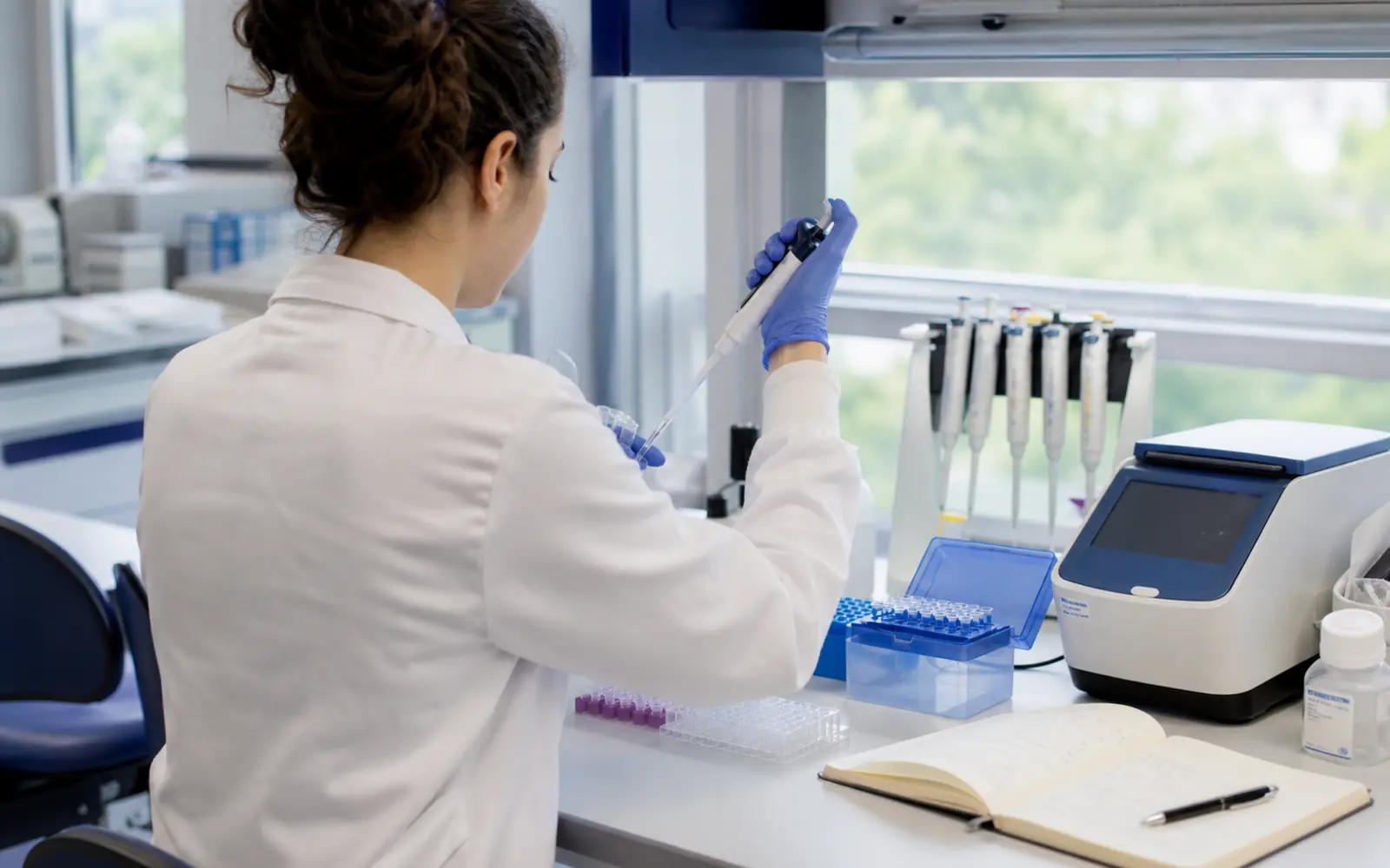 Biotechnologie-Fachkraft entwickelt einen PCR-basierten Assay