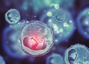 Preimplantasyon Genetik Tanı Preimplantasyon Genetik Tanı